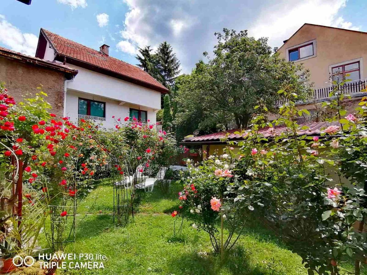 Modern&Cozy Bosnian House With Garden+Free Parking 호텔 사라예보 외부 사진